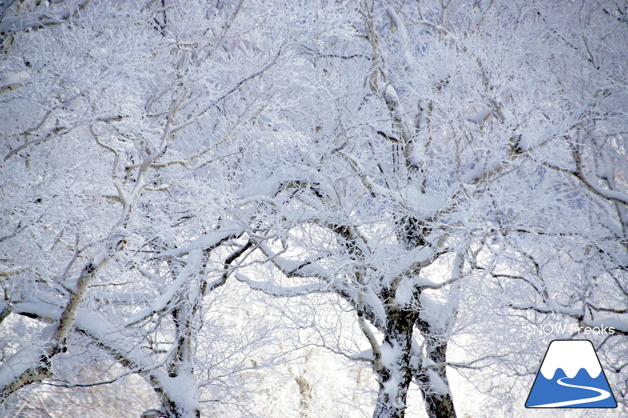 2018-2019 winter ☆パウダースノーで初滑り☆ 北海道札幌市・札幌国際スキー場